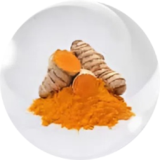 Nghệ và bột nghệ – curcumin thông thường